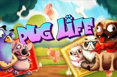 Pug Life slot by Hacksaw Gaming